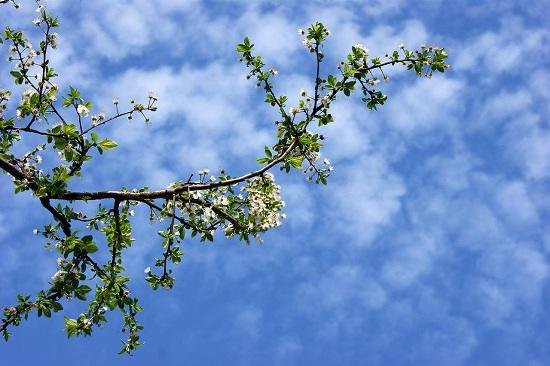 Sabahın hava proqnozu açıqlandı