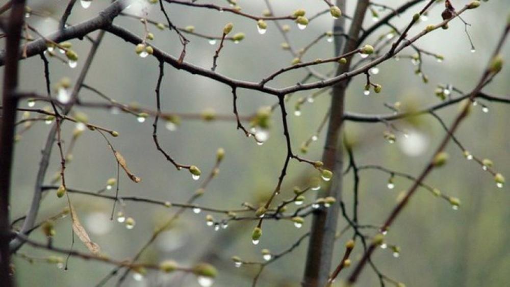 Ölkə ərazisində yağıntılı hava şəraiti davam edir Ölkə ərazisində yağıntılı hava şəraiti davam edir